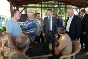 Şahin Biba, 2