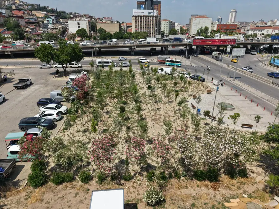 Kemer'de Eski Benzinlik Alanı Mikro Ormana Dönüştürüldü 1
