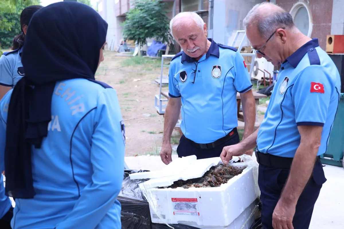 Antalya Otogarı'nda 90 Kilogram Kerevit Ele Geçirildi 1