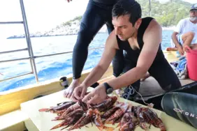 aslan balığı (1)