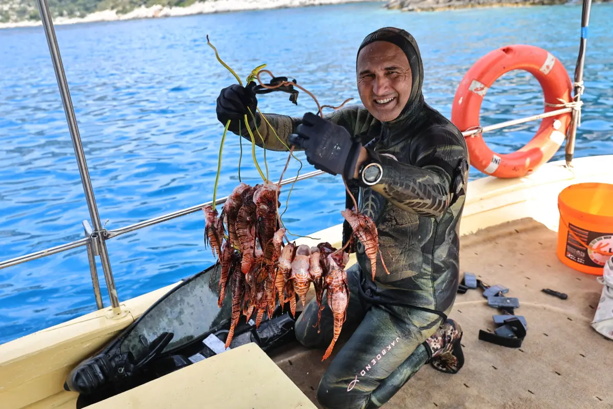 Antalya'da Aslan Balığı Avlama ve Tadım Etkinliği Düzenlendi 1 Antalya'da Aslan Balığı Avlama ve Tadım Etkinliği Düzenlendi 1