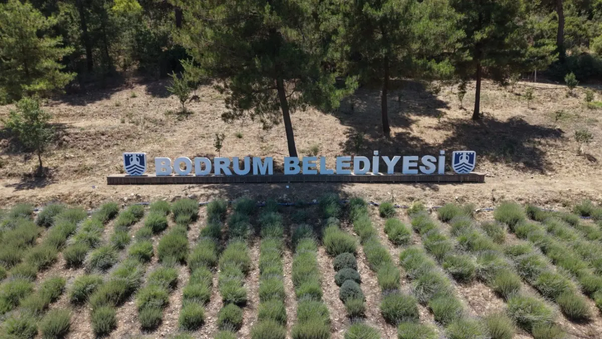 Bodrum'da 6. Gençlik Tarım Kampları Garaova Tarım Park’ta Başladı 2 Bodrum'da 6. Gençlik Tarım Kampları Garaova Tarım Park’ta Başladı 2