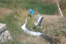 HAŞERELERE KARŞI İLAÇLAMA ÇALIŞMALARI SÜRÜYOR (1)