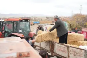 BALYA DESTEĞİ İÇİN BAŞVURULAR DEVAM EDİYOR  (4)