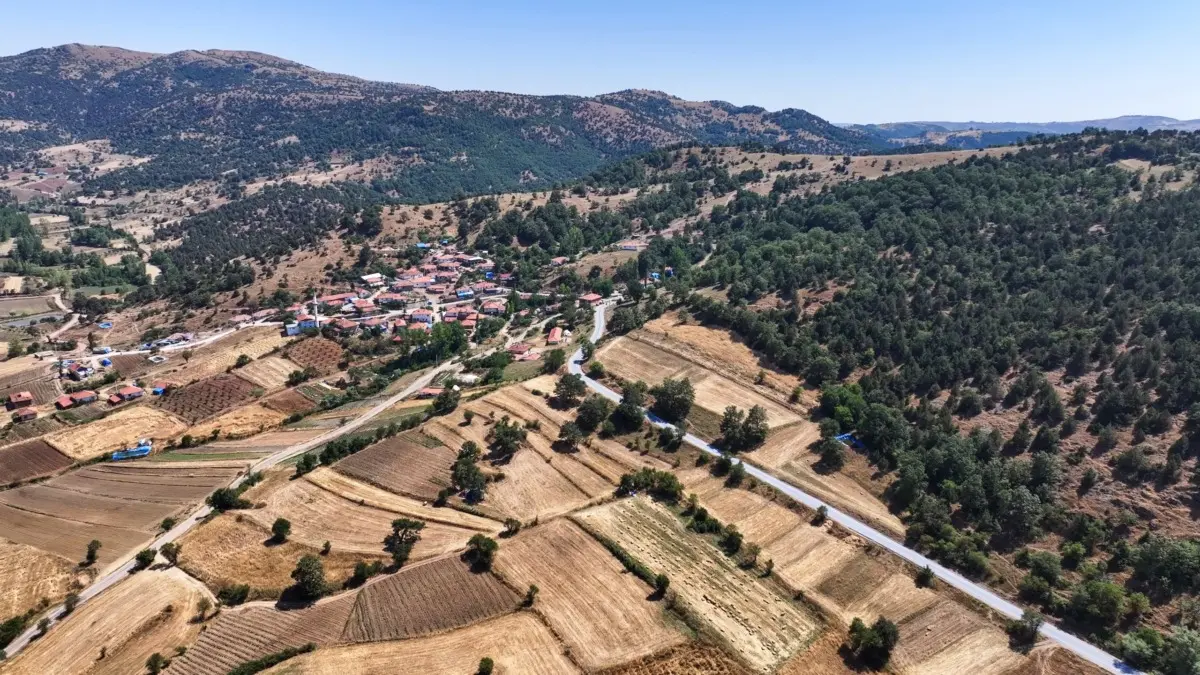 Manisa Gördes'te 10 Kilometrelik Çiçekli-Sindel Yolunda Asfalt Çalışması Başladı 1 Manisa Gördes'te 10 Kilometrelik Çiçekli-Sindel Yolunda Asfalt Çalışması Başladı 1