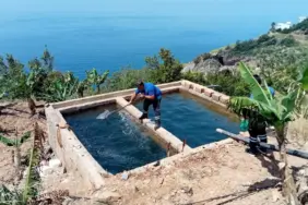 Alanya’da vektörel mücadele 4 koldan yürütülüyor (7)