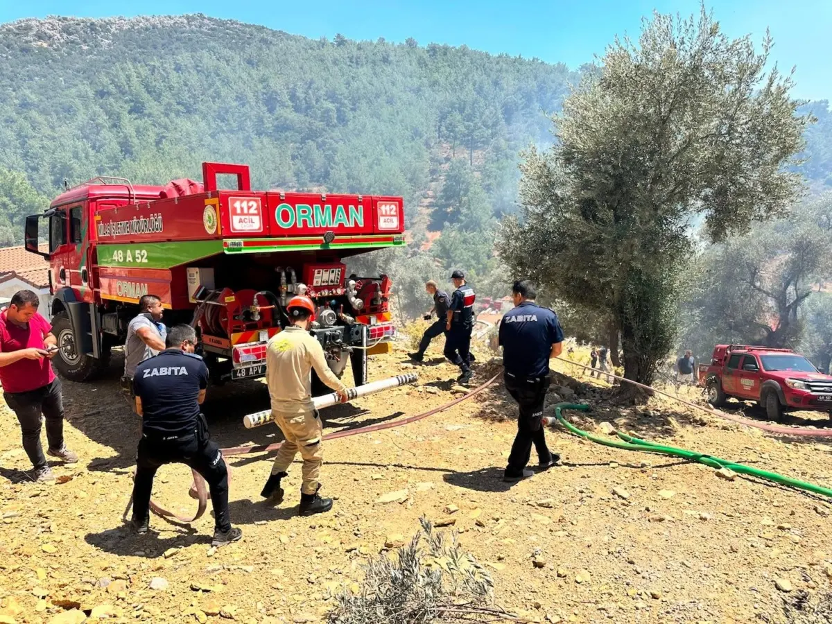 Bodrum'da Afet İşlerinden Yangınlara Etkin Destek 1
