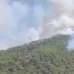 orman yangını