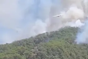 orman yangını