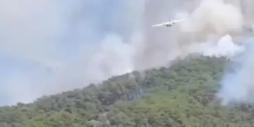 orman yangını