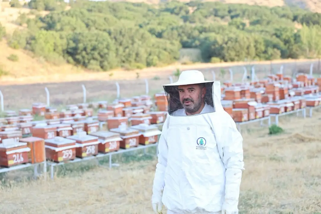 Pursaklar Abadan Bal Ormanı'nda Hasat Sezonu Başladı 1 Pursaklar Abadan Bal Ormanı'nda Hasat Sezonu Başladı 1