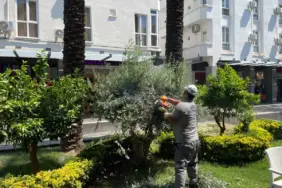Büyükşehir ekiplerinden Kemer Liman Caddesi'nde çalışma (2)