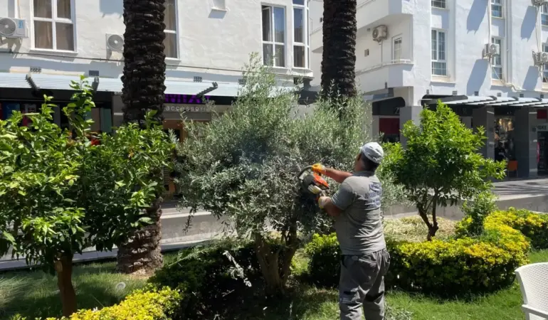 Büyükşehir ekiplerinden Kemer Liman Caddesi'nde çalışma (2)