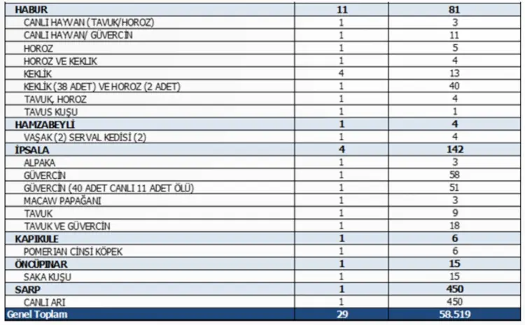 Ticaret Bakanlığı Ekipleri 2026'da 58 Bin 519 Canlı Hayvan Ele Geçirdi 2 Ticaret Bakanlığı Ekipleri 2026'da 58 Bin 519 Canlı Hayvan Ele Geçirdi 2
