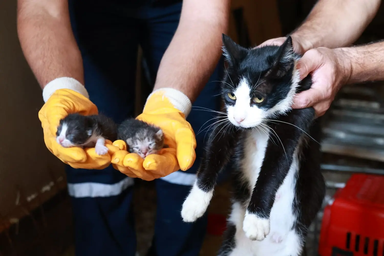 Osmangazi'de Tarım Arazisindeki Kaçak Yapı Yıkıldı 2