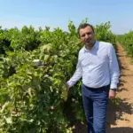 üzüm - bekir başevirgen 1d258g4