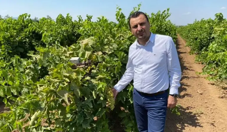 üzüm - bekir başevirgen 1d258g4