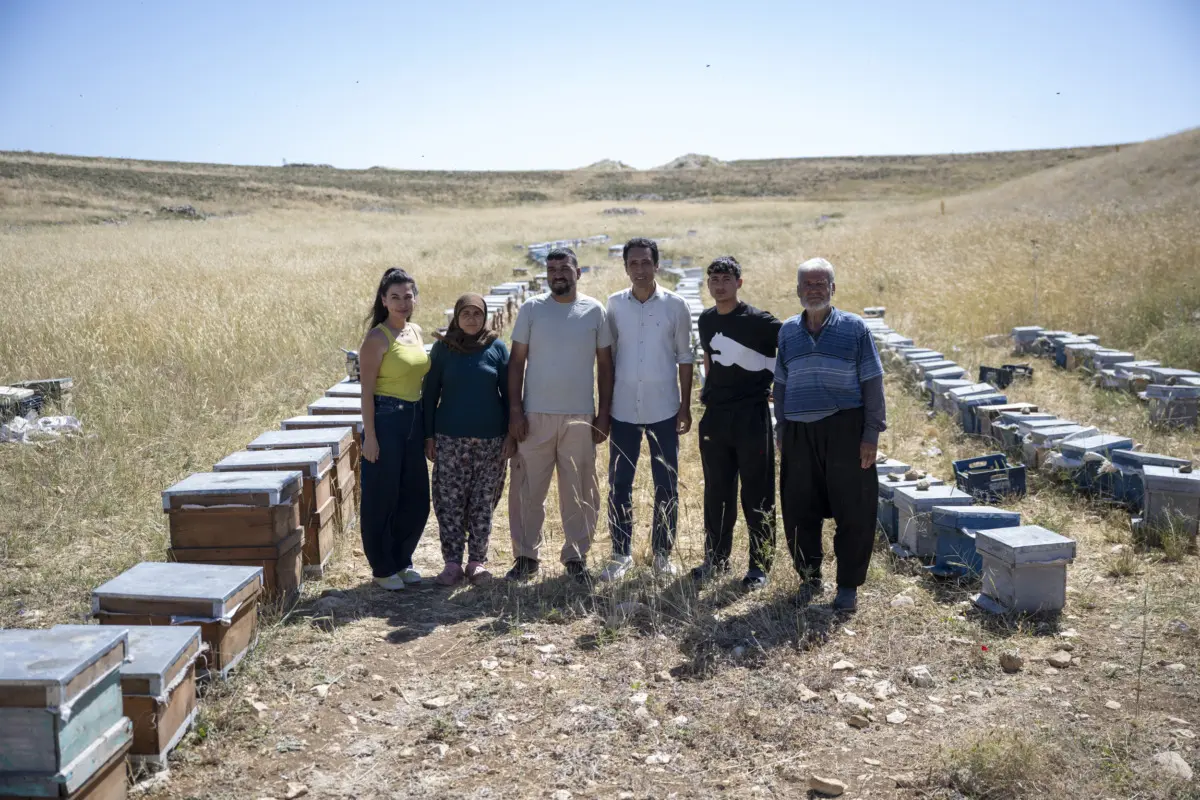 Mersin Büyükşehir Belediyesi'nden "Altın Kovan Projesi" İle Arı Üreticilerine Destek 1