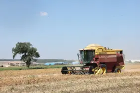 Aspir hasadı yapıldı 2