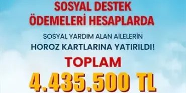 denizli sosyal yardım 2d55d1gf