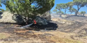 muğla yangın
