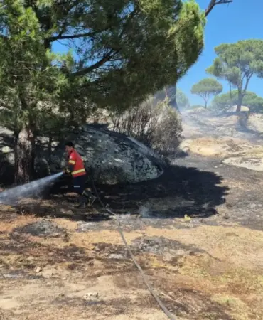 muğla yangın