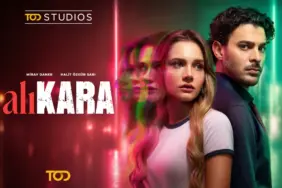 1786966185_ALIKARA_KV_