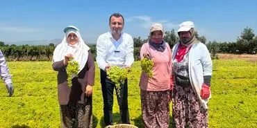 bekir başevirgen 2d5g5f8rt4d (1)