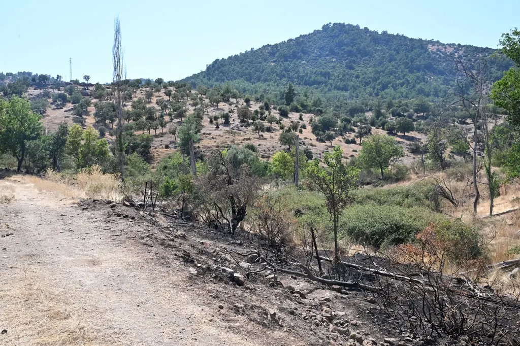 Davutlar Mahallesi’nde Yangına Tankerle İlk Müdahale: Köye Ulaşmadan Kontrol Altına Alındı 1