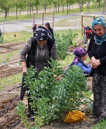 Kozağaç Mahalle Bostanı için kayıt zamanı 2