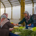 etimesgut köylü pazarı