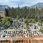 Büyükşehir Belediyesi Cenaze Hizmetleri (7)