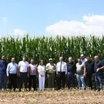 Kalecik, Akyurt, Çubuk ve Elmadağ'da Hayvancılığa Yüzde 50 Hibeli Destek 18 kalecik mısır silaj destek f4d4ds44 (1)